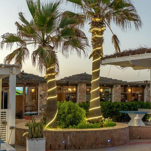 Hotel Mimid Dunes Beach à Mirleft Extérieur photo